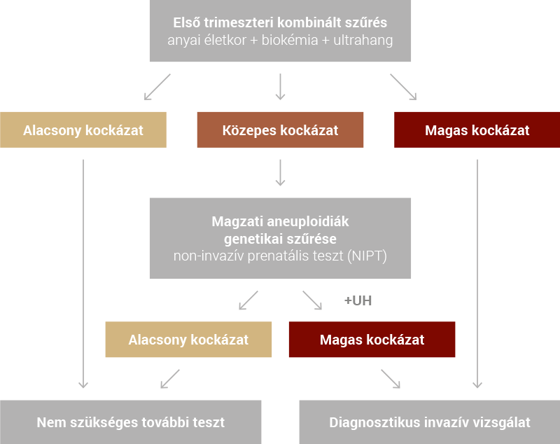 A kombinált teszt lehetséges eredményei: alacsony, közepes és magas kockázat, majd NIPT és invazív vizsgálat